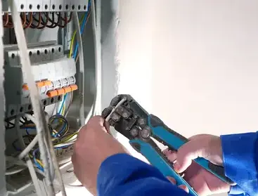installateur alarme Malansac-5
